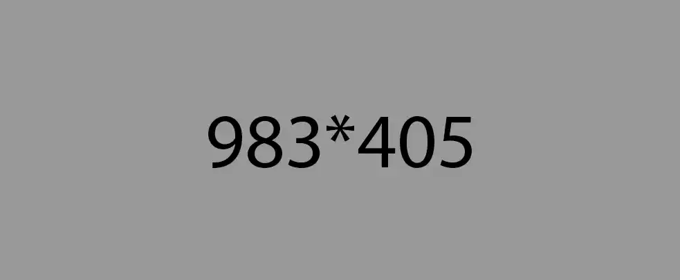 portfoliodetails_2